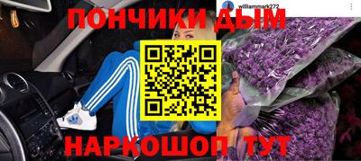 сатива Заводоуковск
